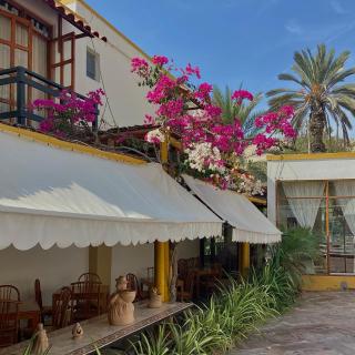 Hosteria Suiza - Ica - 4