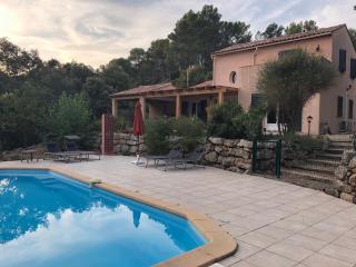 Villa La Folie Provencale - Lorgues - 7