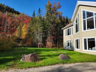 Chalet au Boisé - 8