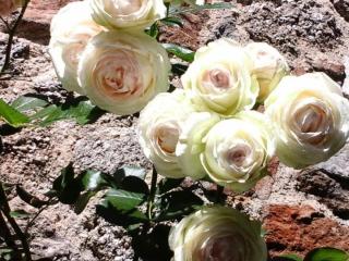 Gîte de France Le fournil 3 épis - Gîte de France 2 personnes MAE-5564 - Égletons - 3