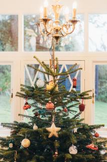 Private Use-Mount Pleasant Hotel 17 BR (sleeps32) - Sidmouth - 1