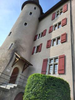 Zimmer-B&B Restaurant Wirtshaus zur Trostburg - Teufenthal - 7