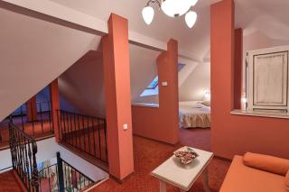 Mercure Medias Binderbubi Hotel And Spa - Mediaş - 4