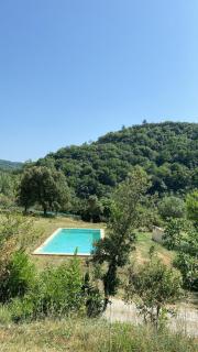 Gîte Pleine Nature - Mas-des-Cours - 2