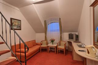 Mercure Medias Binderbubi Hotel And Spa - Mediaş - 3