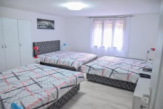 Kuća Cvetković - Pirot - 5