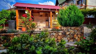Pensiunea Casa Harly - Mahmudia - 6