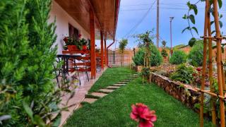 Pensiunea Casa Harly - Mahmudia - 7