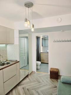Modern studio apartment with full kitchen and bathroom in Kadriorg, Tallinn city centre - Tallinn - 3