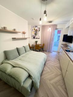 Modern studio apartment with full kitchen and bathroom in Kadriorg, Tallinn city centre - Tallinn - 9