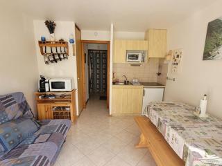 Studio 25m² au pied des montagnes, balcon, idéal pour 4 pers - FR-1-573-95 - Le Biot - 6