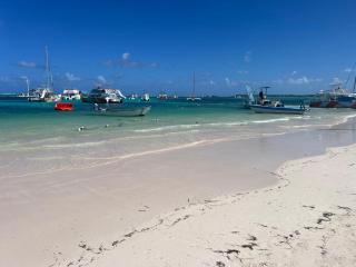 Suite in shared apartment, pool and beach access - Punta Cana - 1