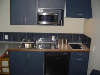 Heriot Lane City Apartments - Dunedin - 2