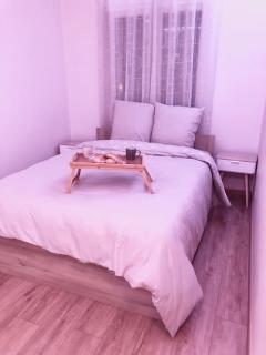 Superbe Appartement tout équipé, Le nid d'Eva à Metz Gare, Parking privé, Balcon, F2, 50m2, 3p - Metz - 0