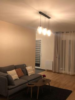 Superbe Appartement tout équipé, Le nid d'Eva à Metz Gare, Parking privé, Balcon, F2, 50m2, 3p - 7