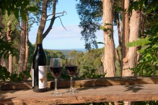 Tranquil farmhouse with sea view, dog friendly - Termeil - 8