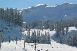 Mountainview Lodge - Deming - 6