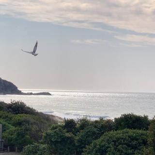 Zenergy - Architectural Oasis, South Blueys Beach - 7