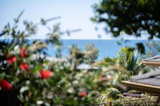 Zenergy - Architectural Oasis, South Blueys Beach - 1