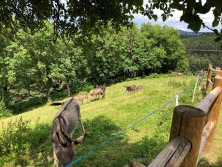Ancienne ferme rénovée avec jardin privé, poêle à bois et terrasse - FR-1-582-44 - 1