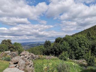 Charmante maison dans les gorges de la Loire avec terrasses et poêle à bois - FR-1-582-319 - 6