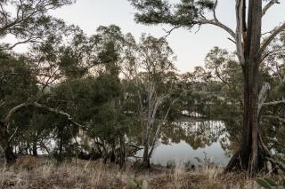 Harry's On Moodemere - Rutherglen - 9