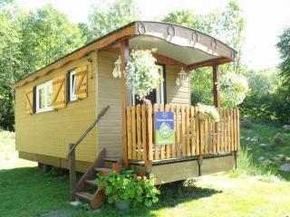 Roulotte cosy avec kitchenette, ruisseau apaisant et espace bien-être, nuit insolite à Ferdrupt - FR-1-589-444 - Ferdrupt - 1