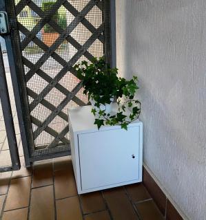 Appartamento Laura - Piano terra - Chioggia - 8