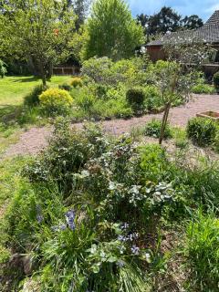 Chambre d'hôtes de charme Jolie futaie en forêt de Tronçais - 7