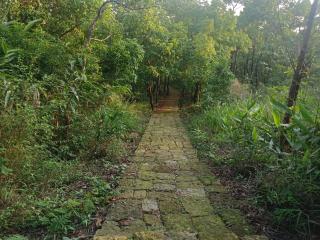 Ibankordor Jungle Resort - Cherrapunji - 8