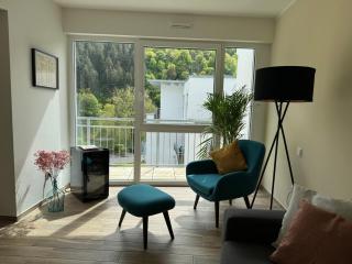 Neu!!! Ferienwohnung Mosel 106,5 - 2