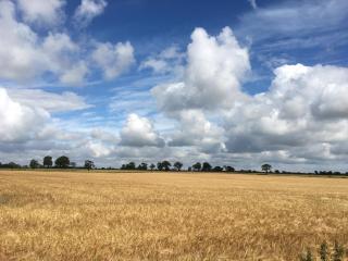 Walnut Tree Lodge - Aylsham - 8
