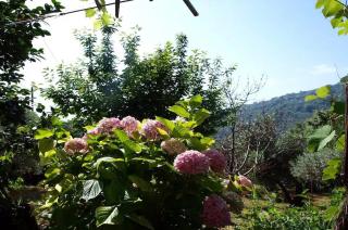 Paradeisos Flatlet with Garden View - Agios Dimitrios - 1