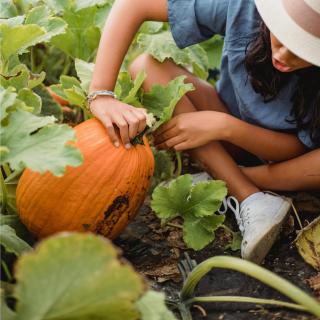 El Lagar del Abuelo en los Arribes del Duero, Badilla, Zamora - 3