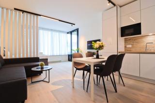 Sunny Apartment in Smichov, Prague 5 - Prague - 6