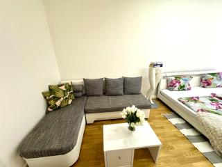 Fantastic apartment in the City Center - Prague - 5