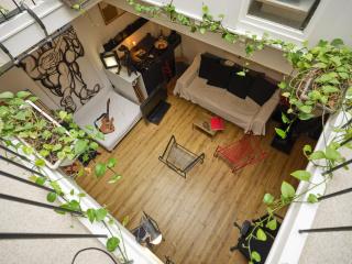 Atelier d'artiste en plein Paris - Paris - 6