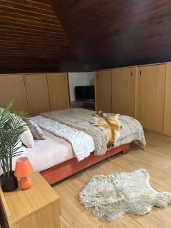 Chata Jana Dedinky - Dedinky - 7