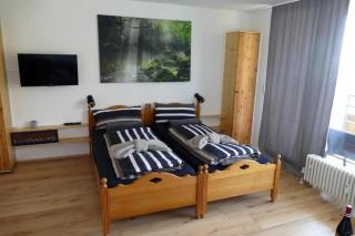 Ferienwohnung Fernblick im Ferienpark Geyersberg - Freyung - 9