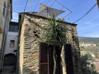 Holiday Home Mimosa by Interhome - Borgomaro - 5