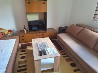 Apartman Vuković - Foča - 7