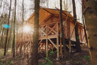 Glamping Mazury - Przystań Jeziorany - 9