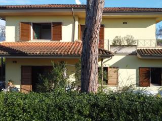 Apartment Sara by Interhome - Marina di Pietrasanta - 8