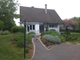 MAISON INDIVIDUELLE 110 M2-3 CHAMBRES-JARDIN 1000 M2 - Bois-Guillaume - 5