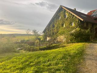 Stadt Land Freunde - Wangen im Allgäu - 4