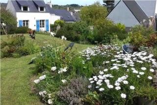 Maison de pêcheur proche plage et activités - Crozon - 6