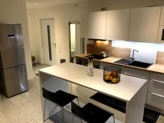 Traumhaftes Loft Wintergarten - Schwabach - 8