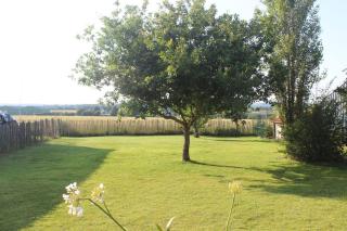 La Colline Aux Écureuils - Irvillac - 1