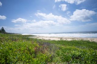 Diamond Beach House beachfront pool pets - 4