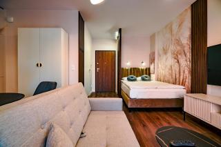 CITYSTAY Scala Śródmieście Apartament z uroczym ogródkiem - Danzig - 7